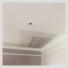 Ornate Ceiling repairs 17