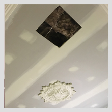 Ornate Ceiling repairs 18